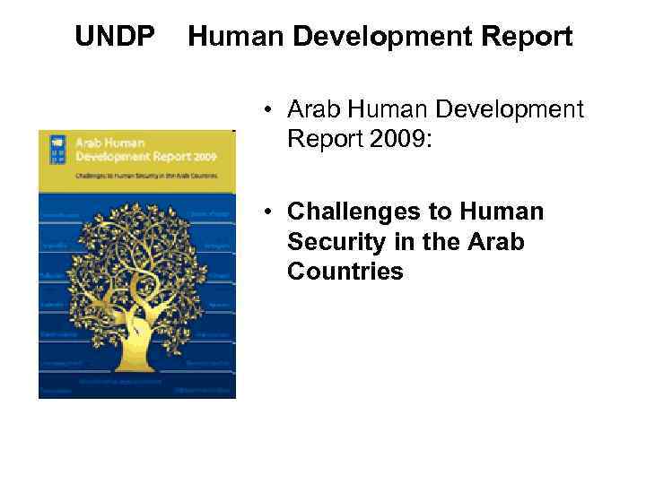 UNDP Human Development Report • Arab Human Development Report 2009: • Challenges to Human