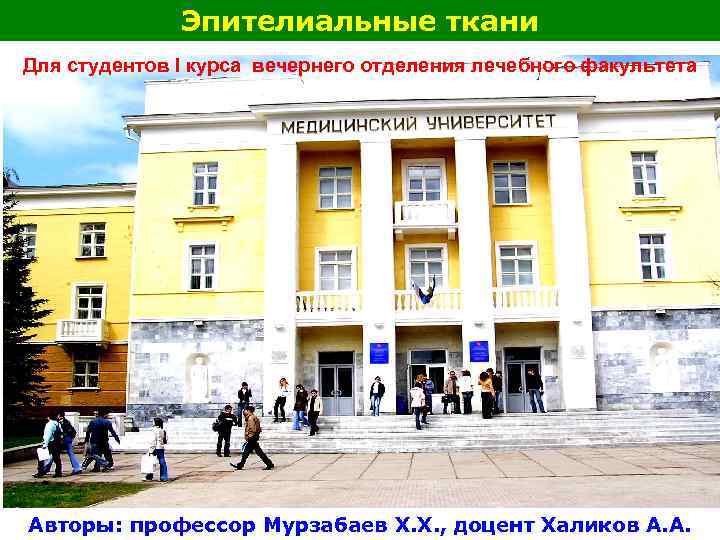Эпителиальные ткани Для студентов I курса вечернего отделения лечебного факультета Авторы: профессор Мурзабаев Х.