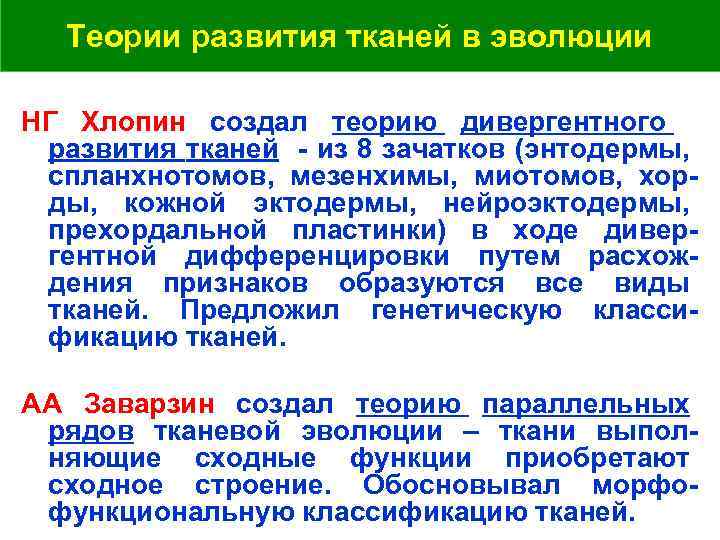 Теории развития тканей в эволюции НГ Хлопин создал теорию дивергентного развития тканей - из
