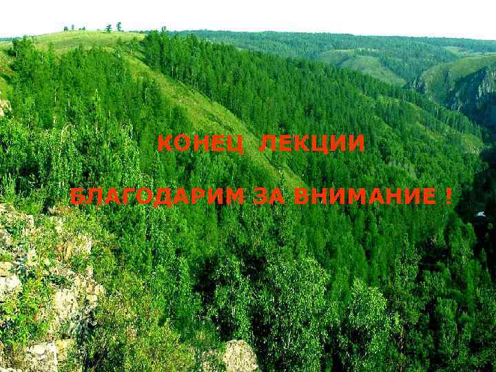 КОНЕЦ ЛЕКЦИИ БЛАГОДАРИМ ЗА ВНИМАНИЕ ! 