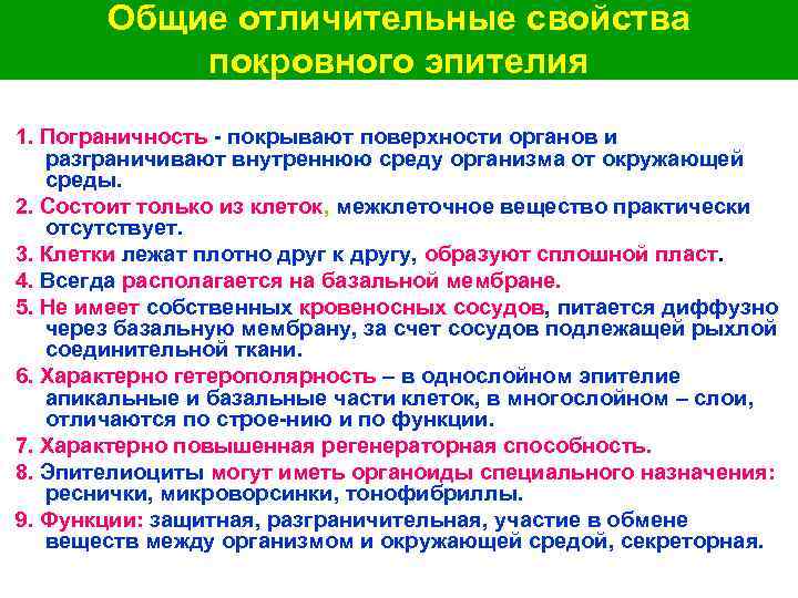 Общие отличительные свойства покровного эпителия 1. Пограничность - покрывают поверхности органов и разграничивают внутреннюю