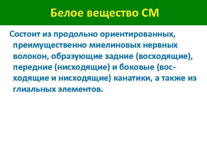 Белое вещество СМ Состоит из продольно ориентированных, преимущественно миелиновых нервных волокон, образующие задние (восходящие),
