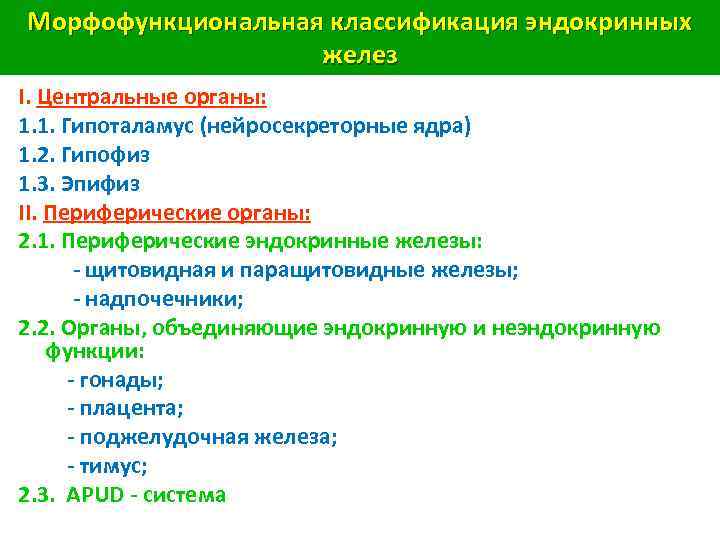 Морфофункциональная классификация эндокринных желез I. Центральные органы: 1. 1. Гипоталамус (нейросекреторные ядра) 1. 2.