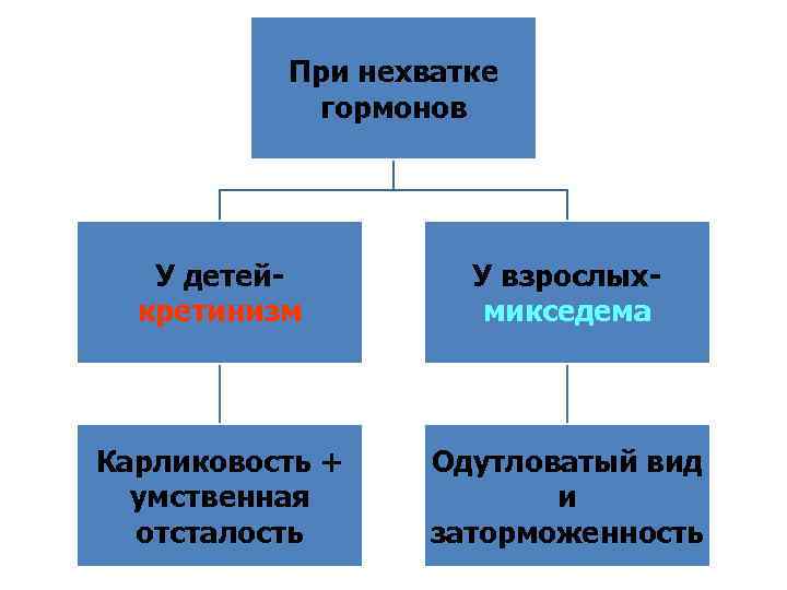 При нехватке гормонов У детейкретинизм У взрослыхмикседема Карликовость + умственная отсталость Одутловатый вид и