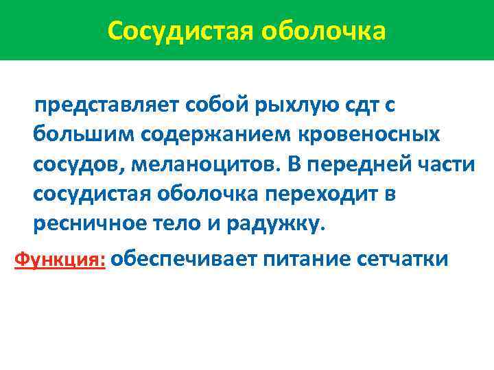 Сосудистая оболочка представляет собой рыхлую сдт с большим содержанием кровеносных сосудов, меланоцитов. В передней