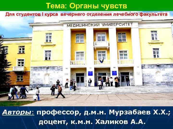 Тема: Органы чувств Для студентов I курса вечернего отделения лечебного факультета Авторы: профессор, д.