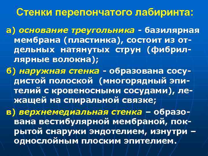 Стенки перепончатого лабиринта: а) основание треугольника - базилярная мембрана (пластинка), состоит из отдельных натянутых
