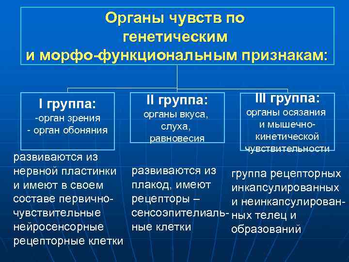 Органы чувств по генетическим и морфо-функциональным признакам: I группа: -орган зрения - орган обоняния