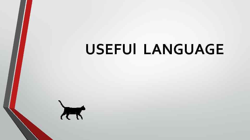 USEFUl LANGUAGE 