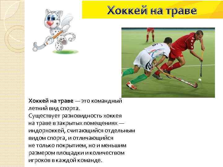 Хоккей на траве — это командный летний вид спорта. Существует разновидность хоккея на траве