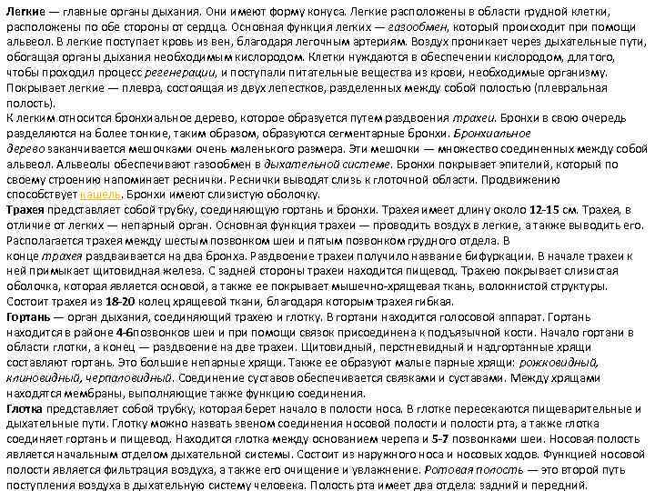 Легкие — главные органы дыхания. Они имеют форму конуса. Легкие расположены в области грудной