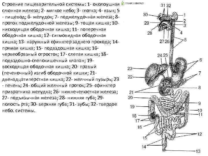 Строение 1 2