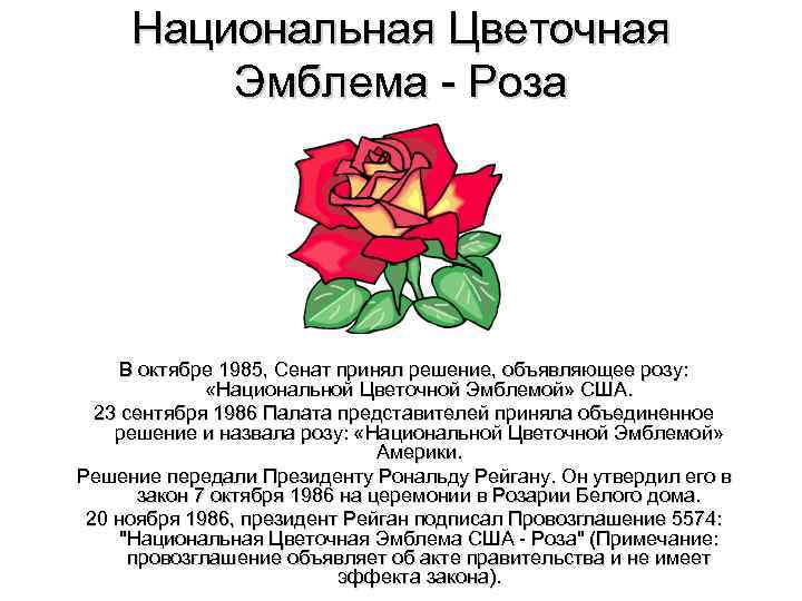 Национальная Цветочная Эмблема - Роза В октябре 1985, Сенат принял решение, объявляющее розу: «Национальной