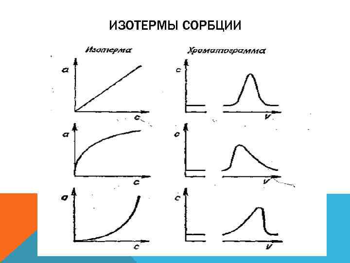 ИЗОТЕРМЫ СОРБЦИИ 