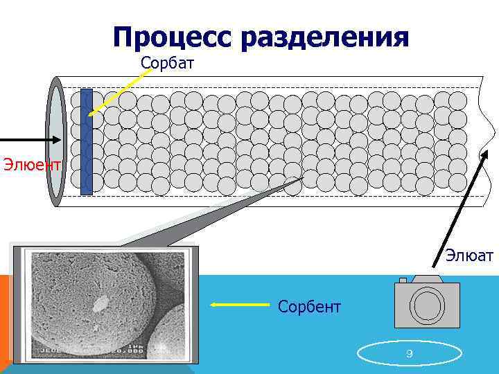 Процесс разделения