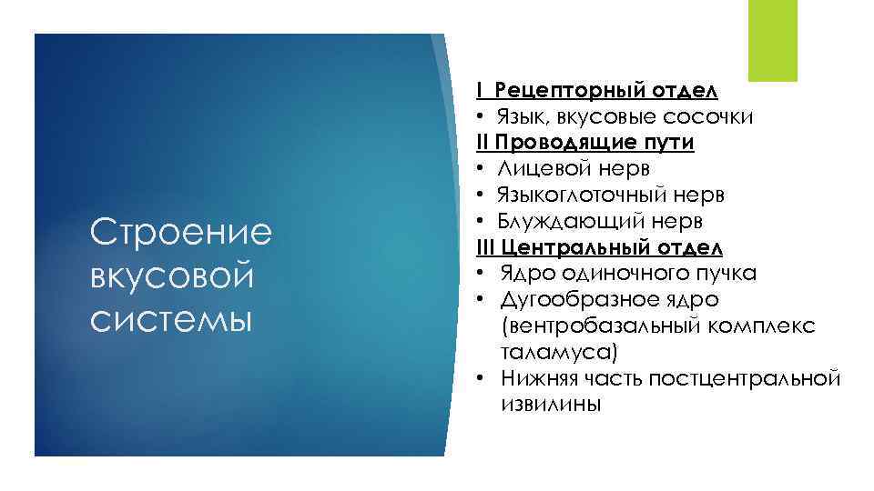 Строение вкусовой системы I Рецепторный отдел • Язык, вкусовые сосочки II Проводящие пути •