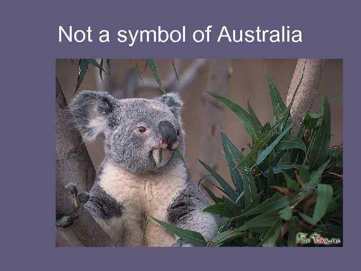 Not a symbol of Australia 