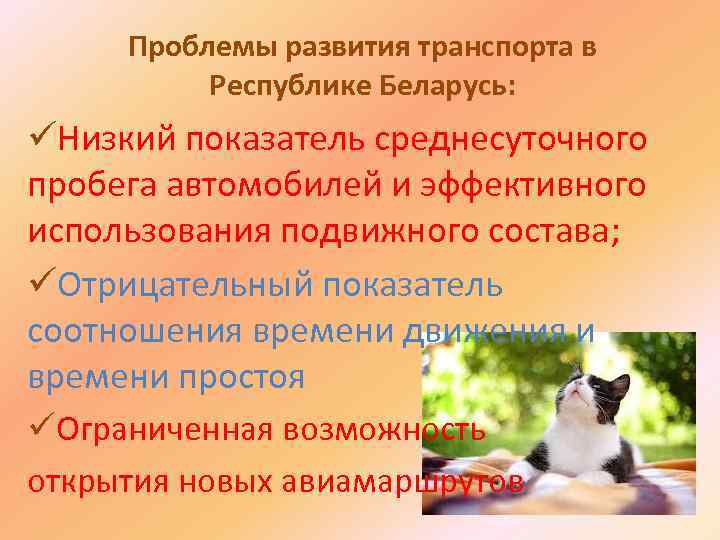 Проблемы развития транспорта в Республике Беларусь: üНизкий показатель среднесуточного пробега автомобилей и эффективного использования