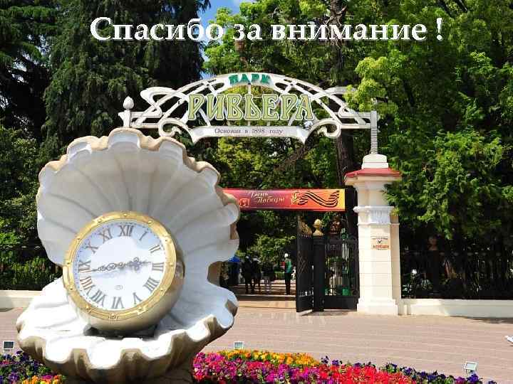 Спасибо за внимание ! 