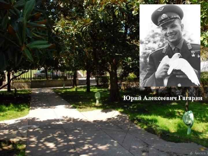 Юрий Алексеевич Гагарин 