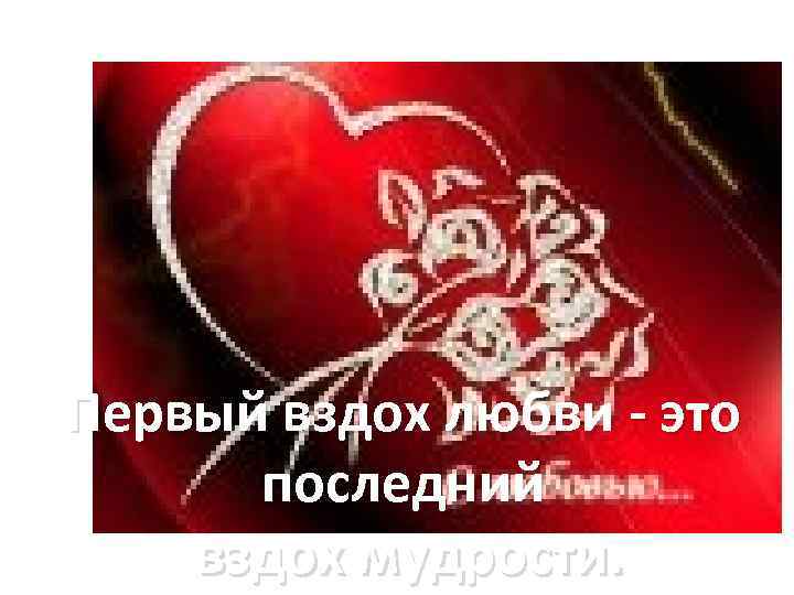 Первый вздох любви - это последний вздох мудрости. 