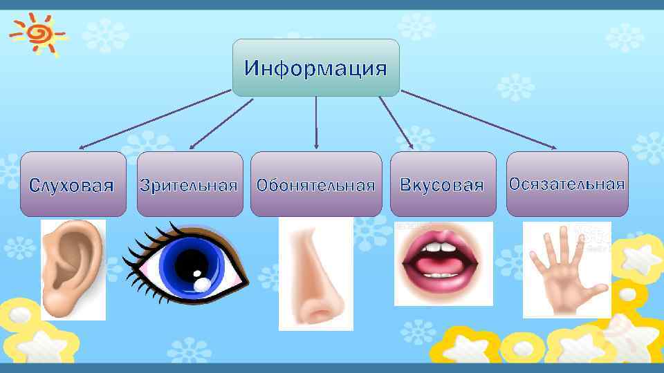 Различают следующие виды информации. Зрительная и слуховая информация. Виды зрительной информации. Визуальная слуховая информация.