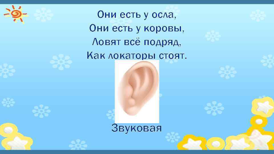 Они есть у осла, Они есть у коровы, Ловят всё подряд, Как локаторы стоят.