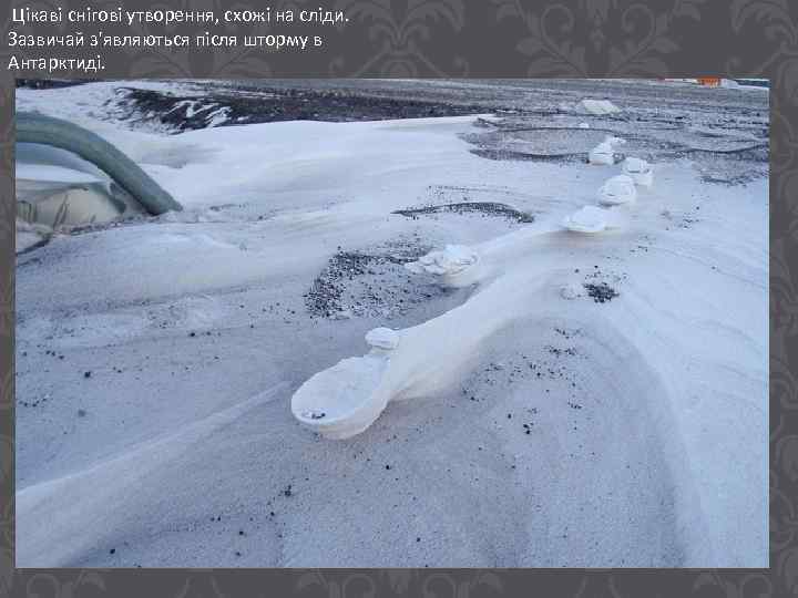 Цікаві снігові утворення, схожі на сліди. Зазвичай з'являються після шторму в Антарктиді. 