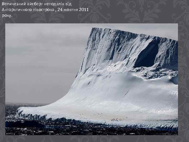 Величезний айсберг неподалік від Антарктичного півострова , 24 жовтня 2011 року. 