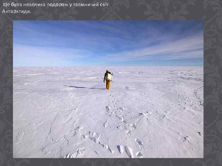 Це була невелика подорож у таємничий світ Антарктиди. 
