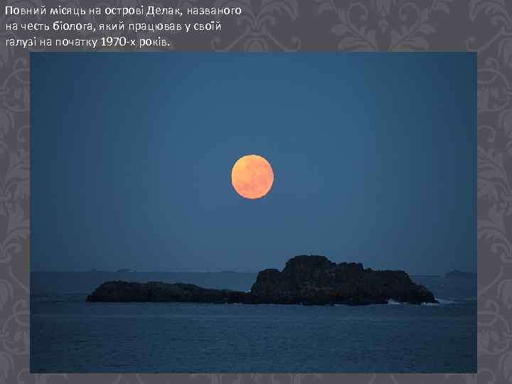 Повний місяць на острові Делак, названого на честь біолога, який працював у своїй галузі