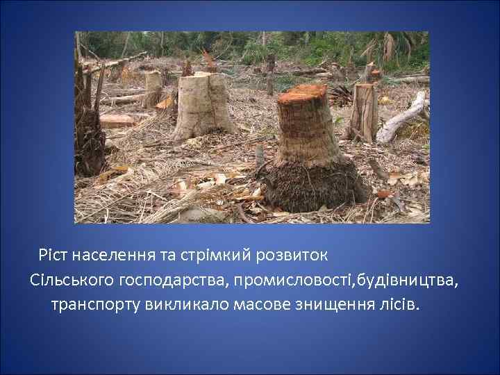  Ріст населення та стрімкий розвиток Сільського господарства, промисловості, будівництва, транспорту викликало масове знищення
