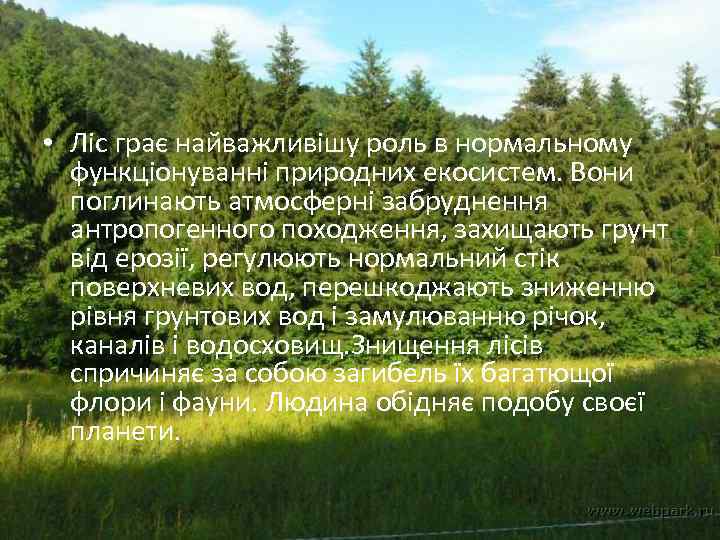  • Ліс грає найважливішу роль в нормальному функціонуванні природних екосистем. Вони поглинають атмосферні