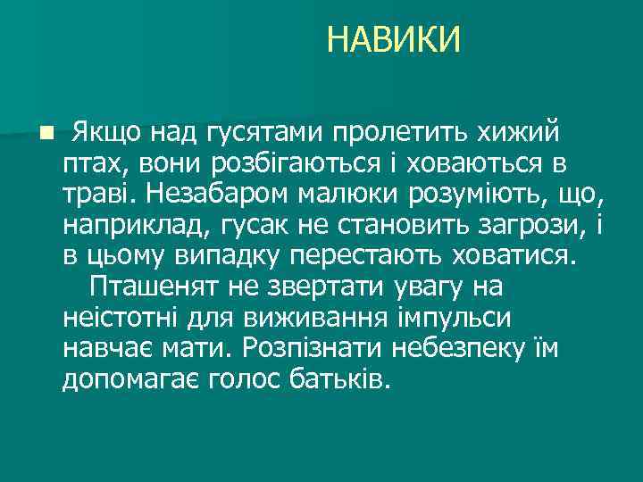  НАВИКИ n Якщо над гусятами пролетить хижий птах, вони розбігаються і ховаються в