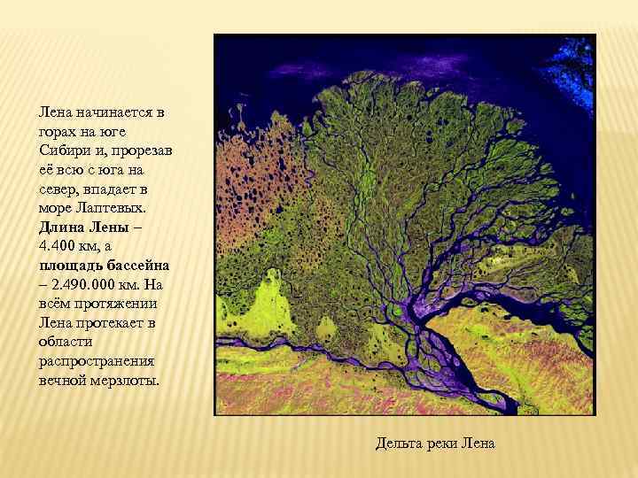 Длина лены. Река Лена течет с севера на Юг через густую. Река Лена на юге Сибири. Река Лена с севера на Юг. Река Лена течет с Юга на Север.
