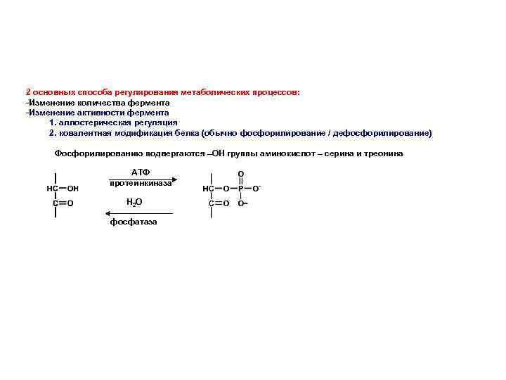 2 основных способа регулирования метаболических процессов: -Изменение количества фермента -Изменение активности фермента 1. аллостерическая