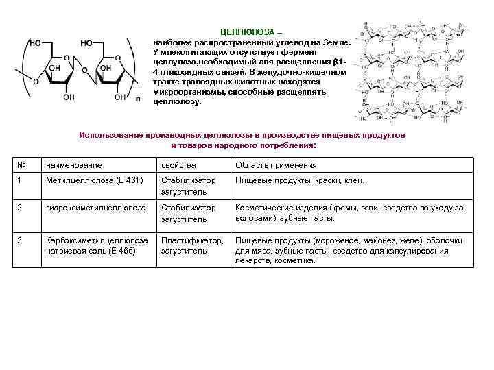 ЦЕЛЛЮЛОЗА – наиболее распространенный углевод на Земле. У млекопитающих отсутствует фермент целлулаза, необходимый для