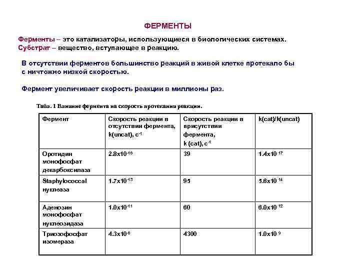 ФЕРМЕНТЫ Ферменты – это катализаторы, использующиеся в биологических системах. Субстрат – вещество, вступающее в