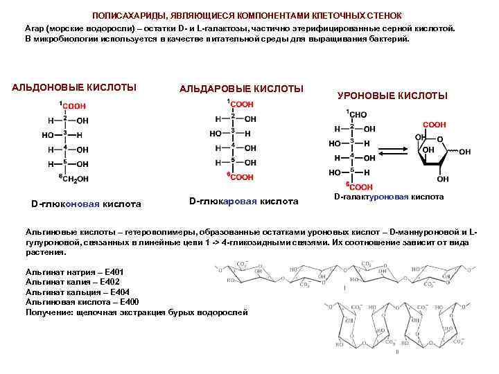 ПОЛИСАХАРИДЫ, ЯВЛЯЮЩИЕСЯ КОМПОНЕНТАМИ КЛЕТОЧНЫХ СТЕНОК Агар (морские водоросли) – остатки D- и L-галактозы, частично