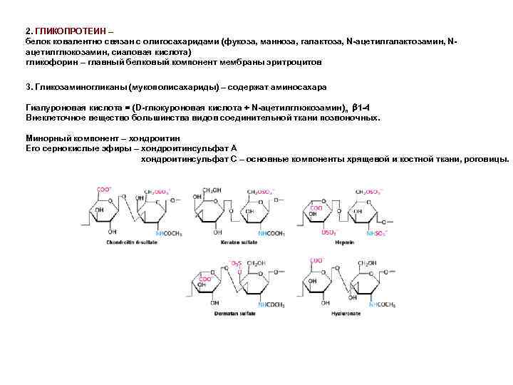 2. ГЛИКОПРОТЕИН – белок ковалентно связан с олигосахаридами (фукоза, манноза, галактоза, N-ацетилгалактозамин, Nацетилглюкозамин, сиаловая
