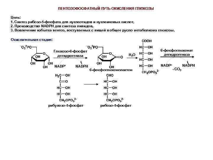 Последовательность этапов окисления глюкозы