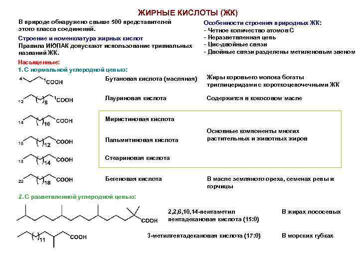 ЖИРНЫЕ КИСЛОТЫ (ЖК) В природе обнаружено свыше 500 представителей этого класса соединений. Строение и
