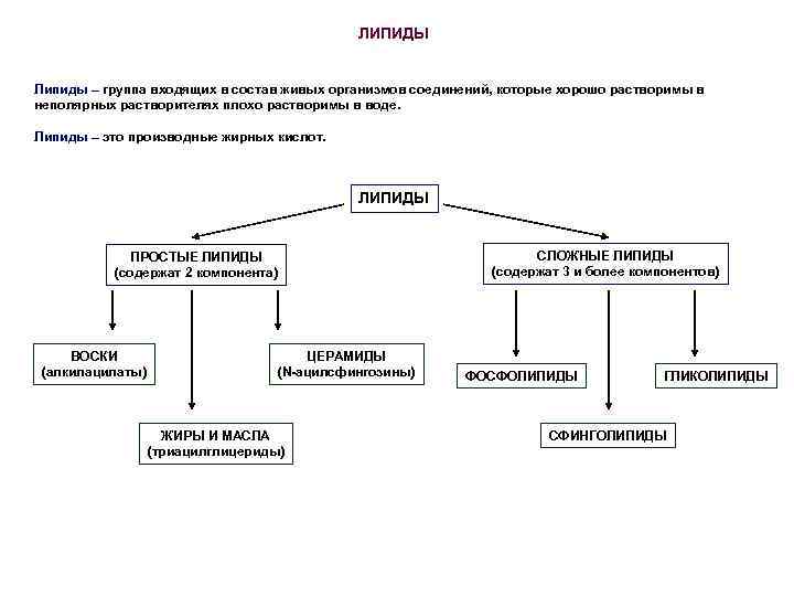 Липиды функции. Липиды классификация и функции. Функции липидов схема. Классификация липидов схема. Сложные липиды классификация.