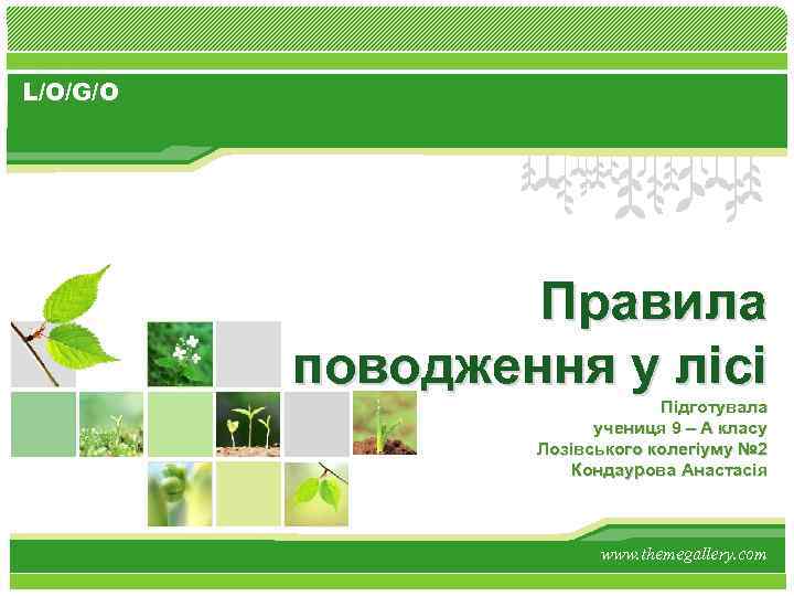 L/O/G/O Правила поводження у лісі Підготувала учениця 9 – А класу Лозівського колегіуму №