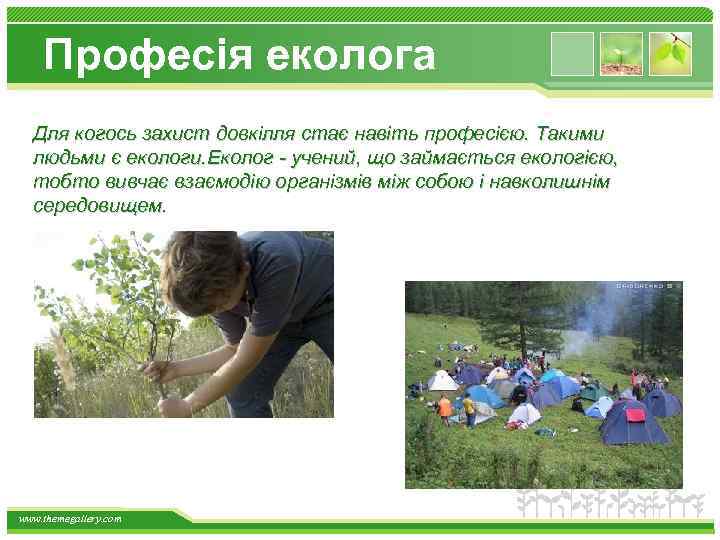 Професія еколога Для когось захист довкілля стає навіть професією. Такими людьми є екологи. Еколог