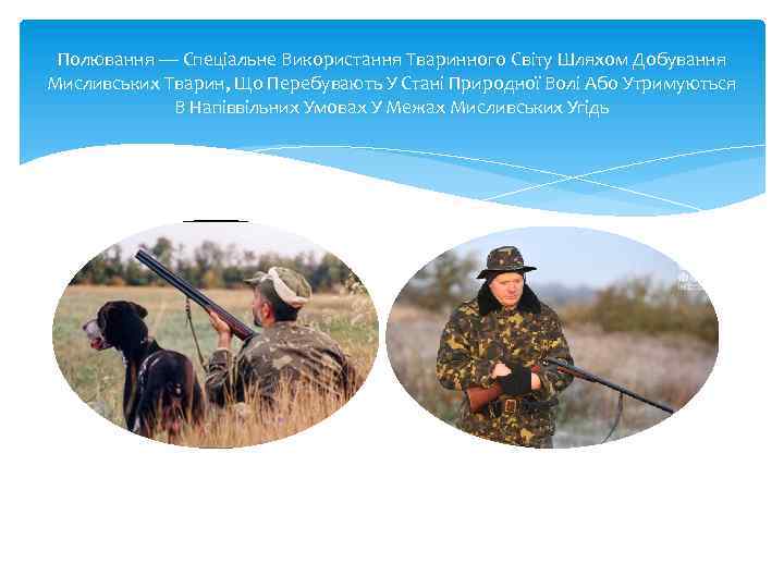 Полювання — Спеціальне Використання Тваринного Світу Шляхом Добування Мисливських Тварин, Що Перебувають У Стані