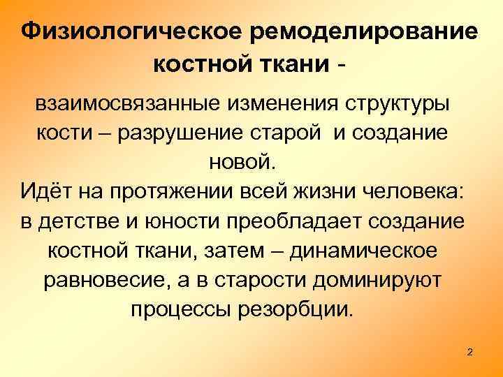 Физиологическое ремоделирование костной ткани взаимосвязанные изменения структуры кости – разрушение старой и создание новой.