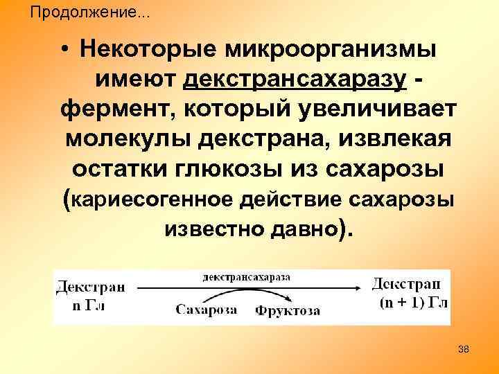 Продолжение. . . • Некоторые микроорганизмы имеют декстрансахаразу фермент, который увеличивает молекулы декстрана, извлекая