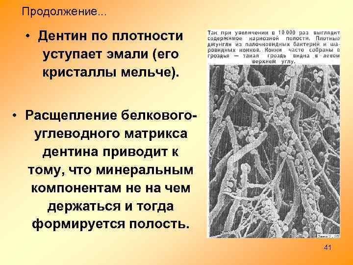 Продолжение. . . • Дентин по плотности уступает эмали (его кристаллы мельче). • Расщепление