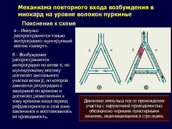 4 фаза трикки как называется